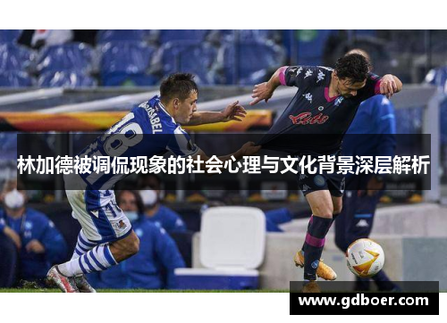 林加德被调侃现象的社会心理与文化背景深层解析